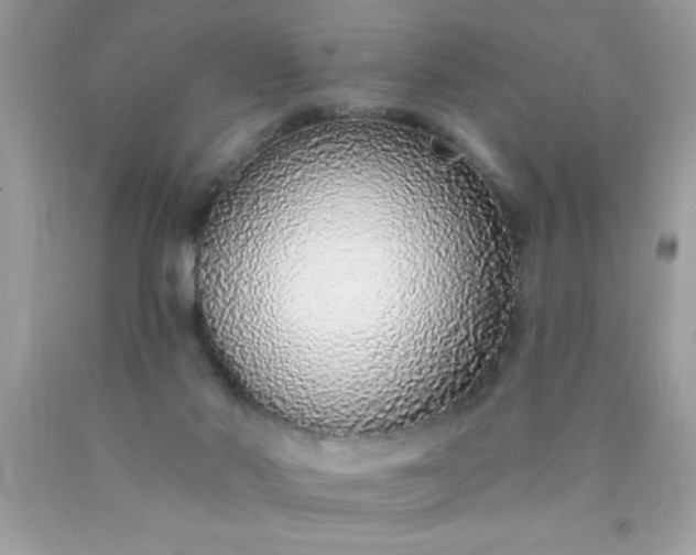 X0000090460022200707272246