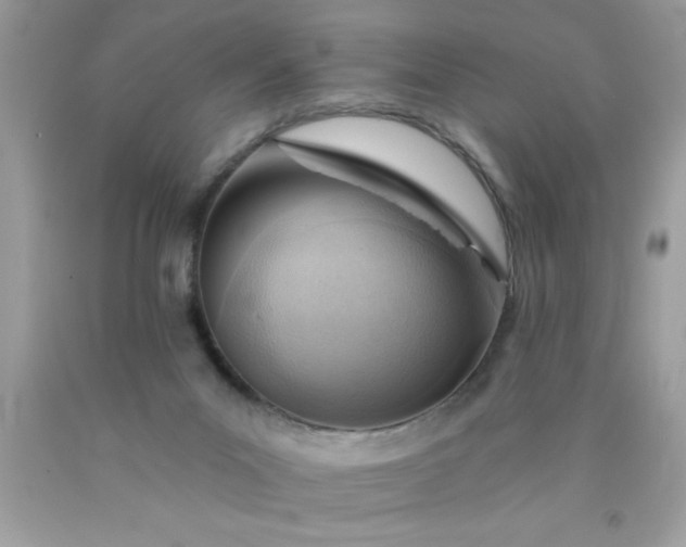 X0000090460023200707272246