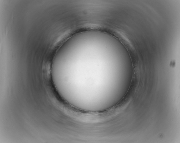 X0000090460024200707272246