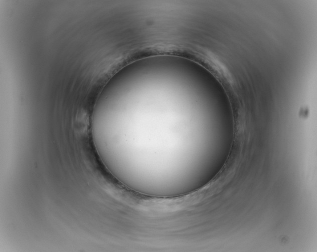 X0000090460025200707272246