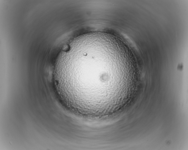 X0000090460026200707272246
