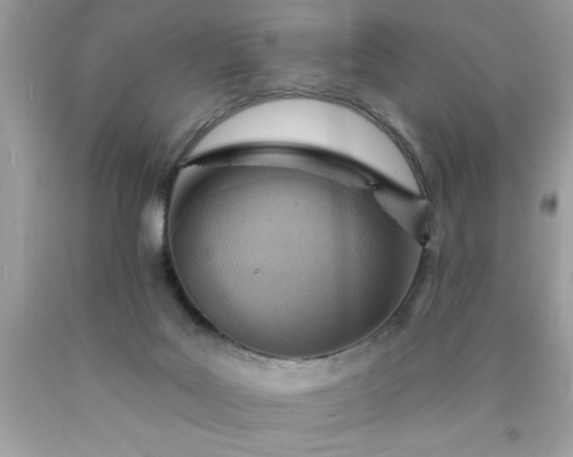X0000090460027200707272246