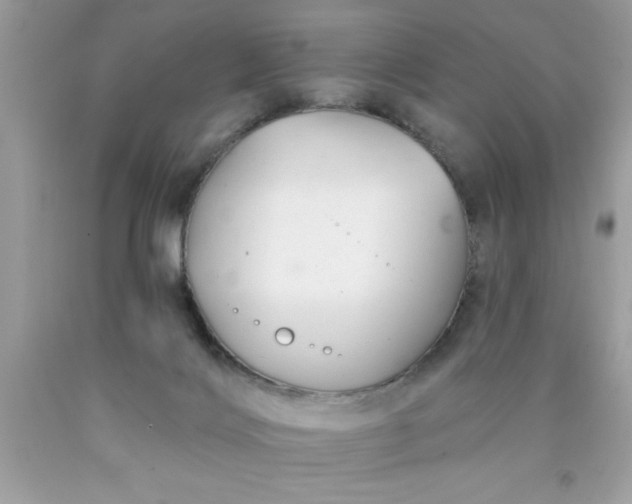 X0000090460028200707272246