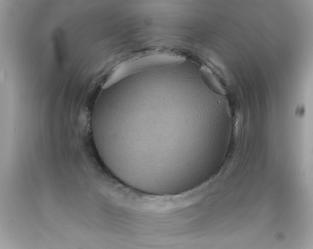 X0000090460029200707272246