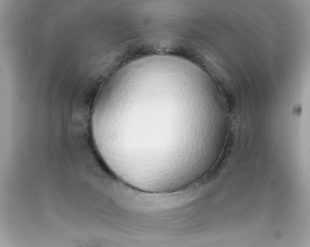 X0000090460030200707272246