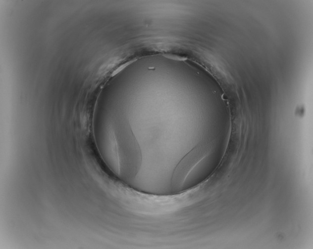 X0000090460031200707272246