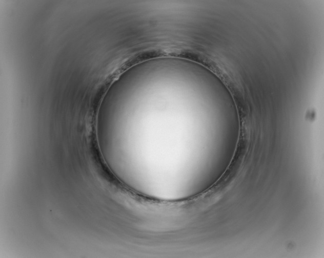 X0000090460032200707272246