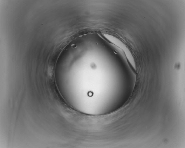 X0000090460033200707272246