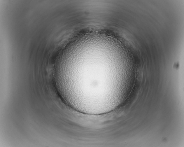 X0000090460034200707272246