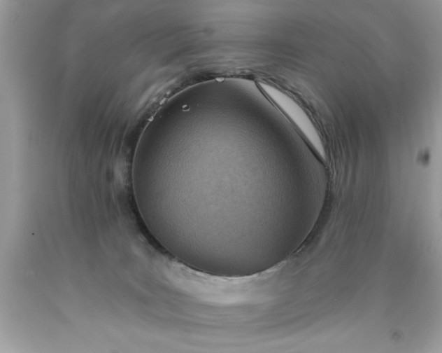 X0000090460035200707272246
