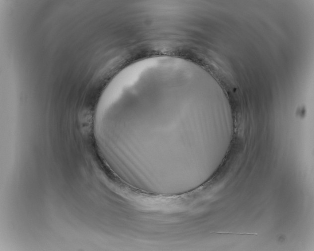X0000090460036200707272246