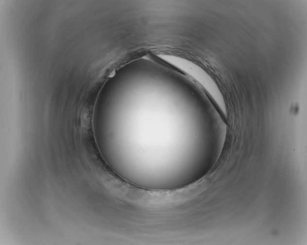 X0000090460037200707272246