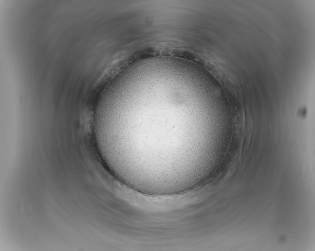 X0000090460038200707272246