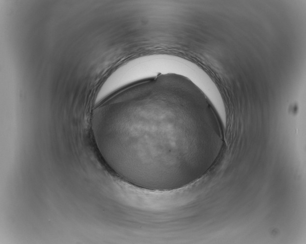 X0000090460039200707272246