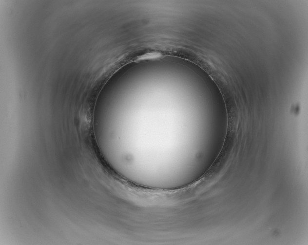 X0000090460040200707272246