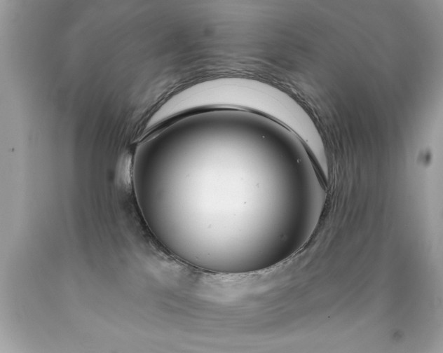 X0000090460041200707272246