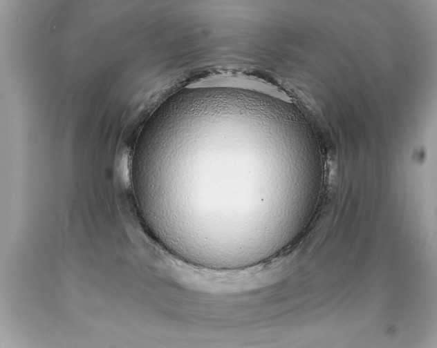 X0000090460042200707272246