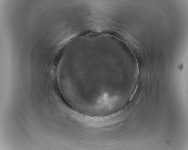 X0000090460043200707272246