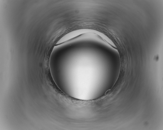 X0000090460044200707272246
