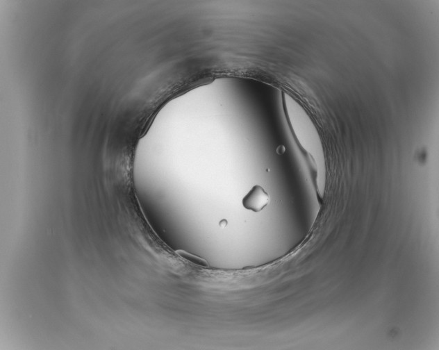 X0000090460045200707272246