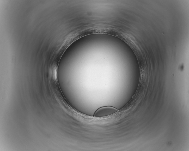 X0000090460046200707272246