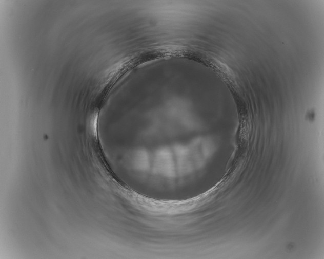 X0000090460047200707272246