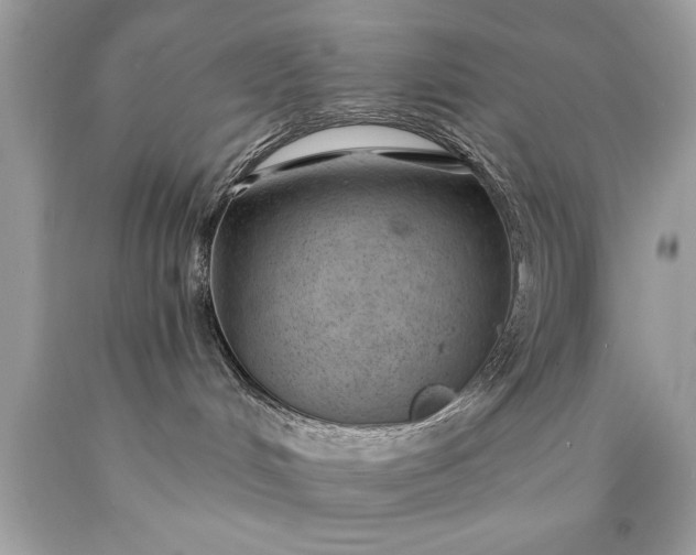 X0000090460048200707272246