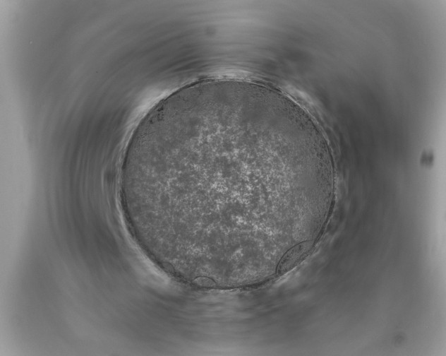 X0000090460049200707272245