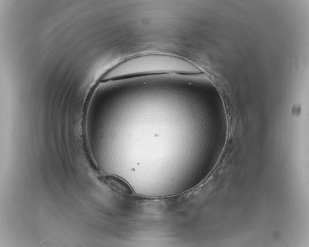 X0000090460050200707272245