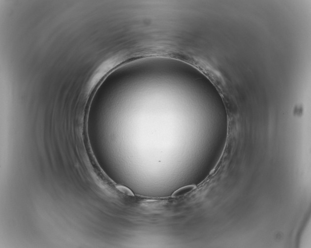 X0000090460051200707272245