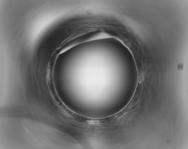 X0000090460052200707272245