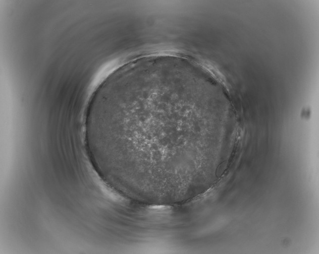 X0000090460053200707272245