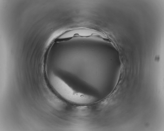 X0000090460054200707272245
