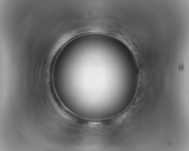 X0000090460055200707272245