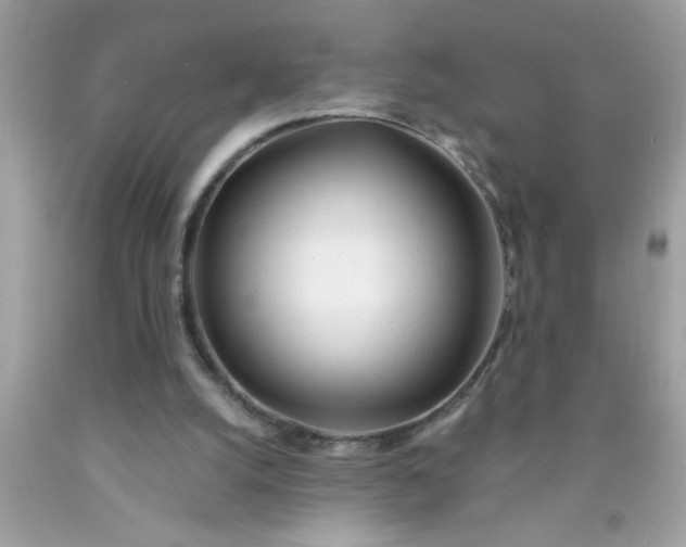 X0000090460056200707272245