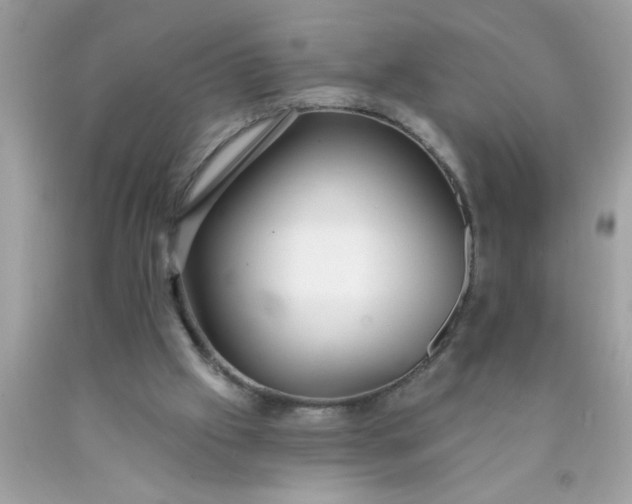 X0000090460057200707272245