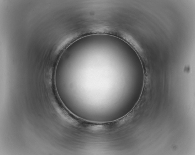 X0000090460058200707272245