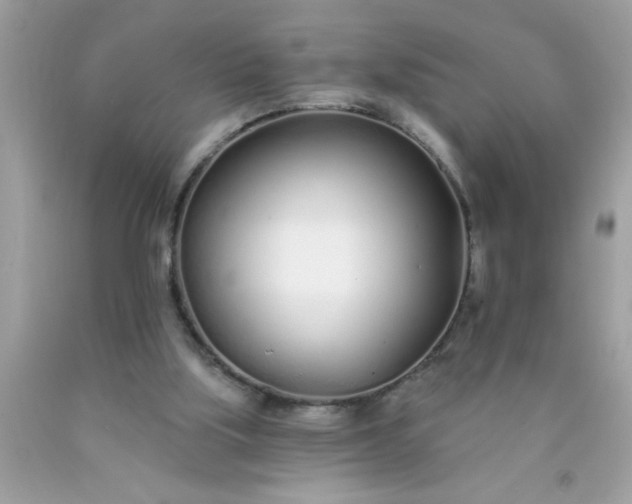 X0000090460059200707272245