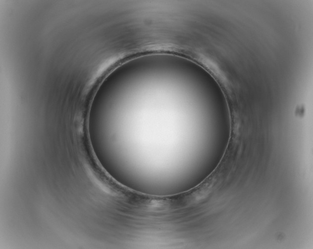 X0000090460060200707272245
