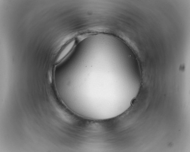 X0000090460062200707272245
