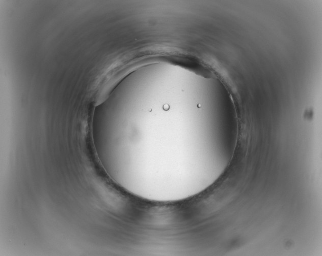 X0000090460063200707272245