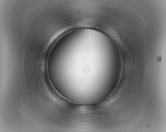 X0000090460064200707272245