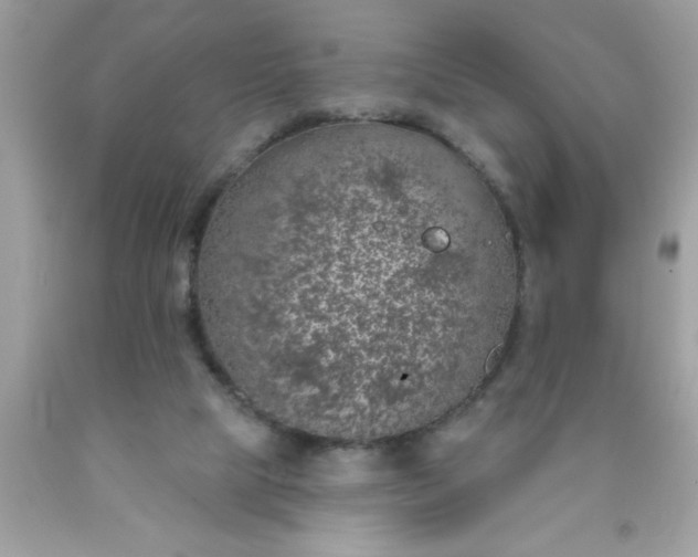 X0000090460065200707272245