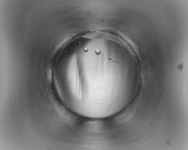 X0000090460067200707272246