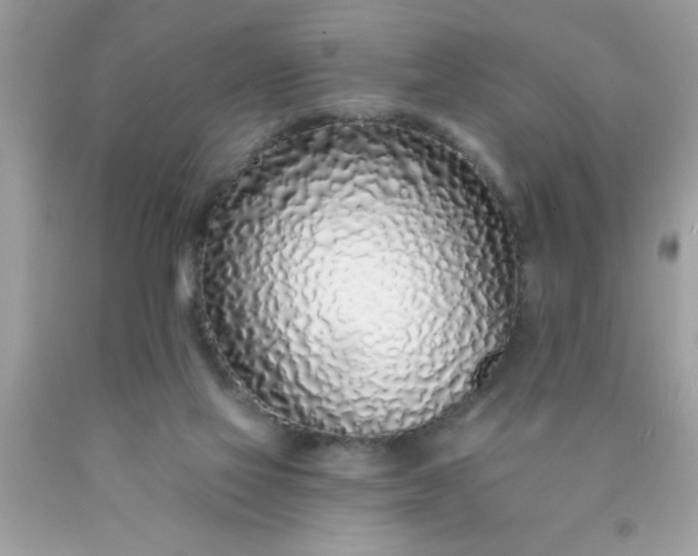 X0000090460069200707272246