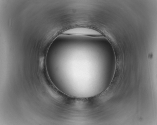 X0000090460070200707272246