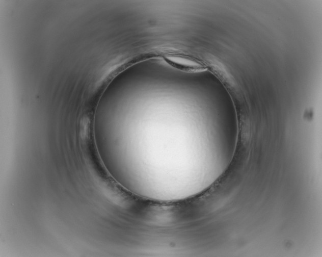 X0000090460071200707272246