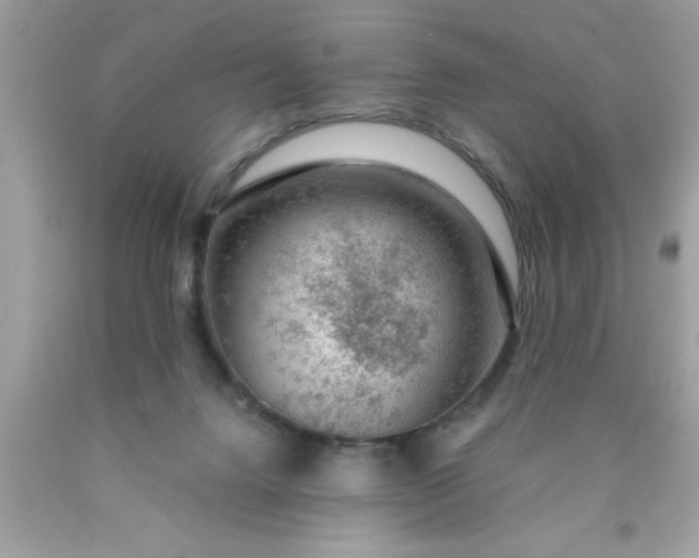 X0000090460072200707272246