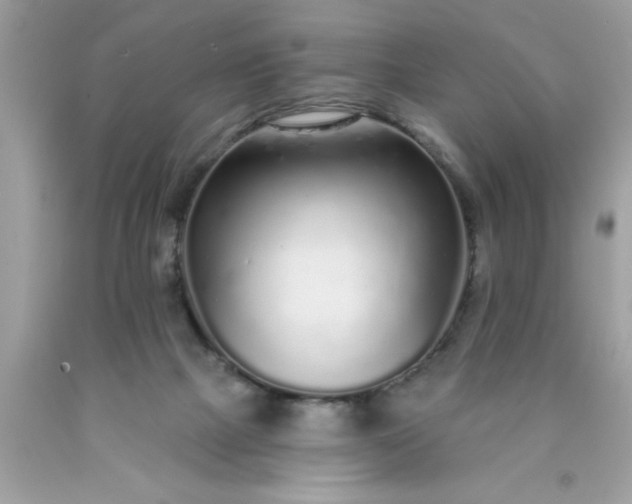X0000090460073200707272246