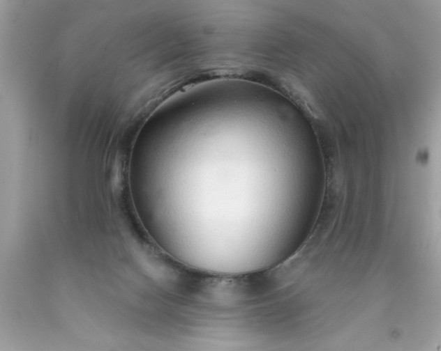 X0000090460074200707272246